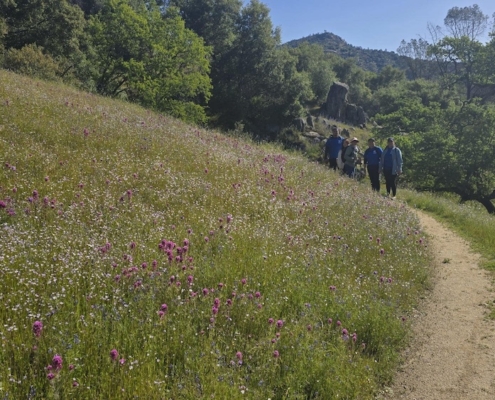 Access for All to the Outdoors - San Joaquin River Gorge
