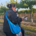 Farmworker Advancement Program (FAP) – Community Health Worker Certification