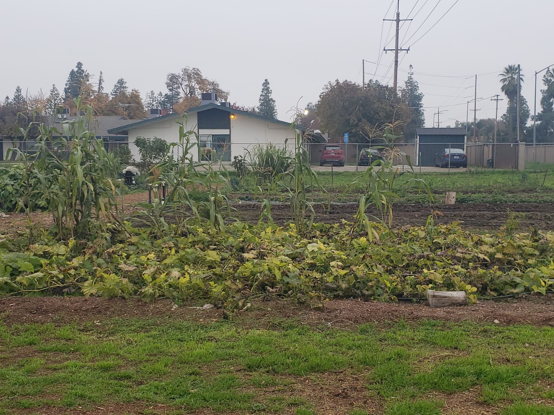 Environmental Justice Bus Tour with Fresno BHC
