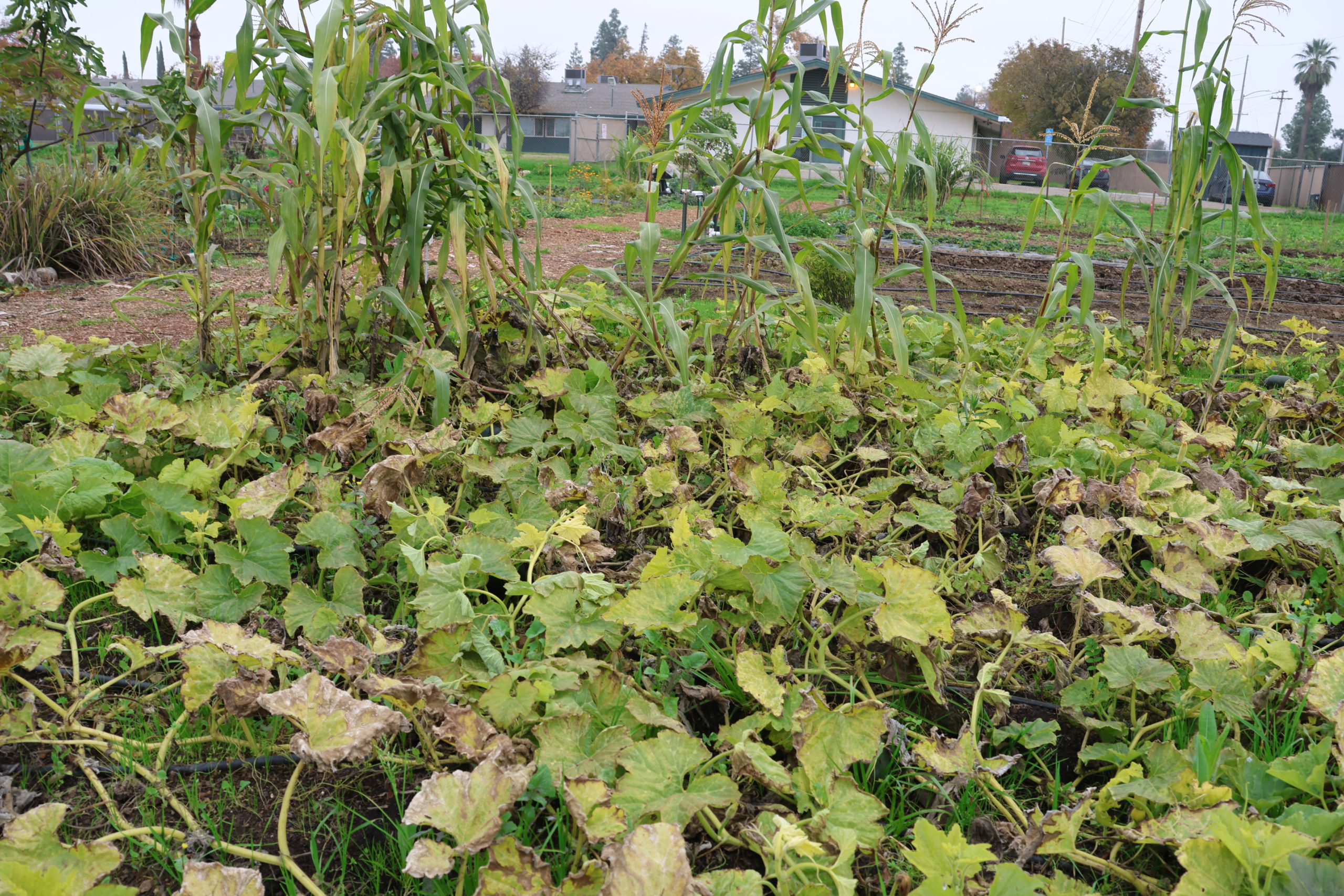 Environmental Justice Bus Tour with Fresno BHC