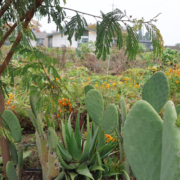 Environmental Justice Bus Tour with Fresno BHC