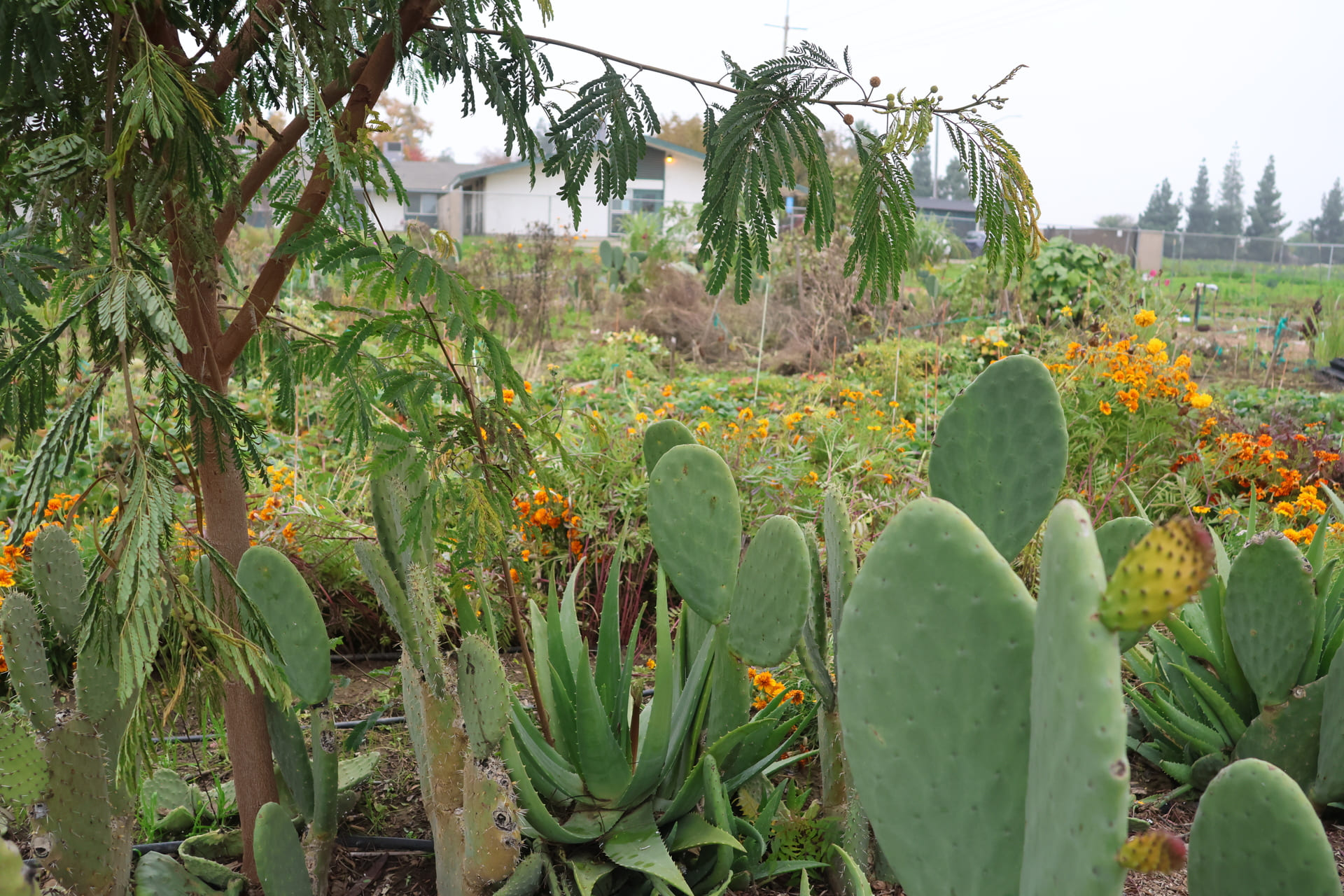 Environmental Justice Bus Tour with Fresno BHC