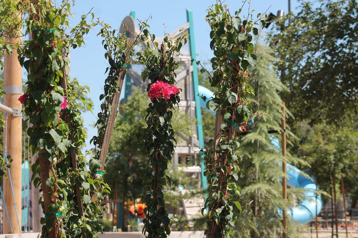 Bright pink bougainvillea flowers bloom among green vines climbing up wooden support posts in the foreground, partially obscuring a tall, multi-level wooden playground tower in the blurred background.